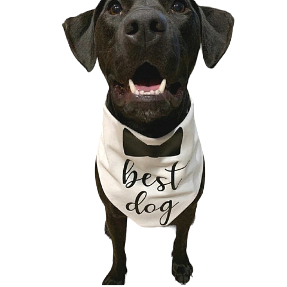 GANZ Dog Collar Bandana Wedding Best Dog Bow Tie L/XL NWT